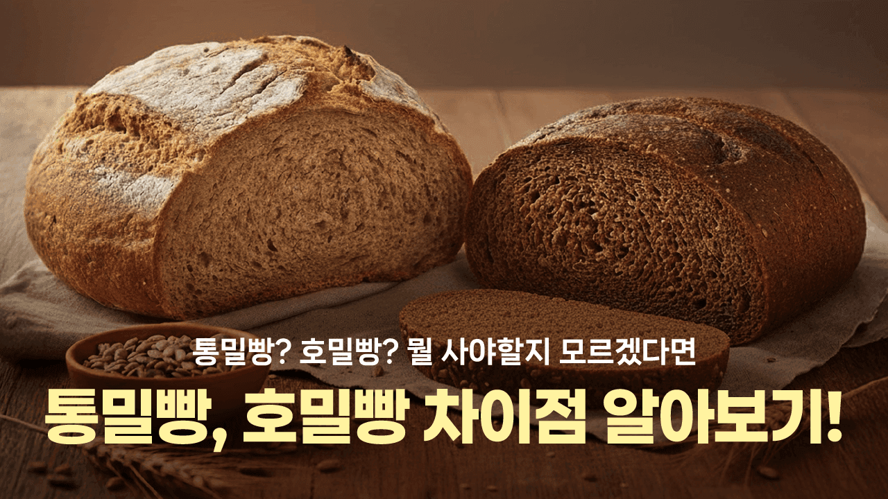 도대체 둘이 뭐가 다른데? 통밀빵, 호밀빵 차이점 알아보기✍️
