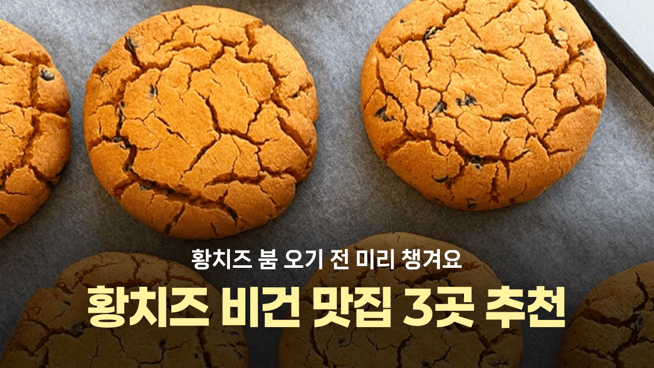 황치즈 붐 오기 전 미리 쟁여요, 황치즈 비건 맛집 추천😋