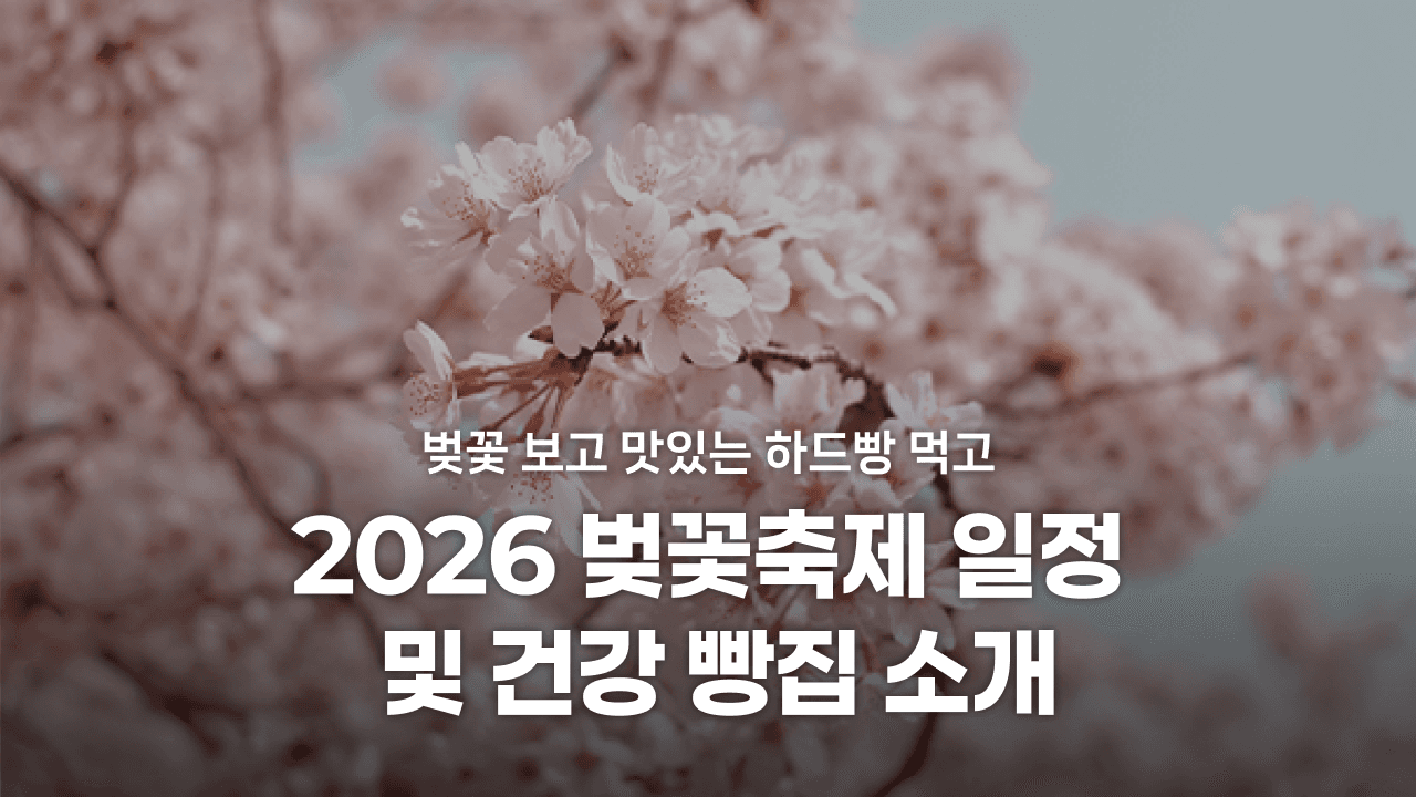 2026 벚꽃축제 일정 및 건강 빵집 소개
