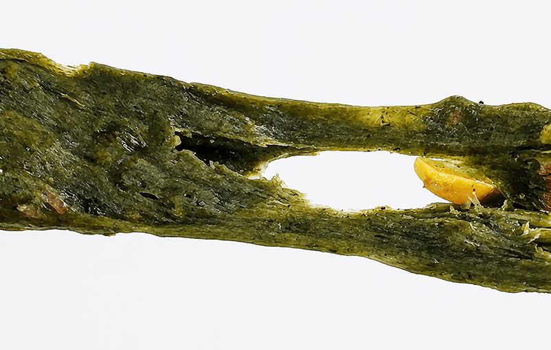 영양가득 제로 제주 쑥 단백질 영양찰떡 (85g X 10개입)