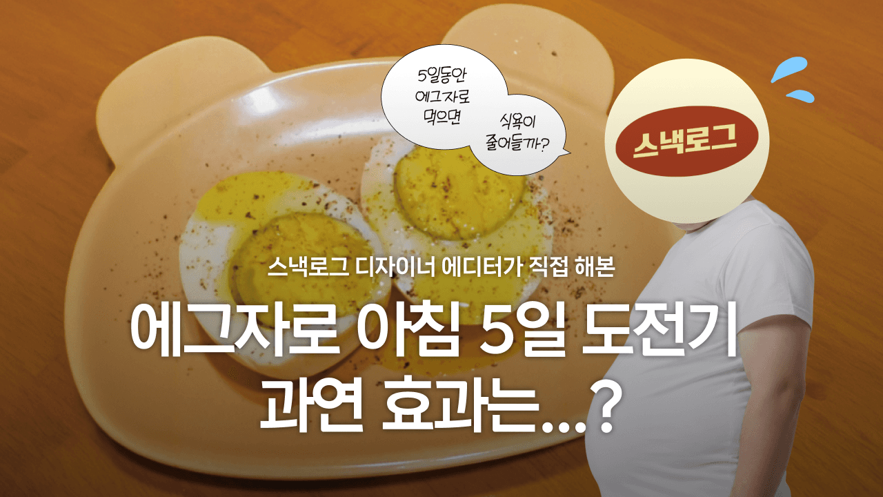 스낵로그 디자이너 에디터가 직접 해본 에그자로 아침 5일 도전기, 과연 효과는...?